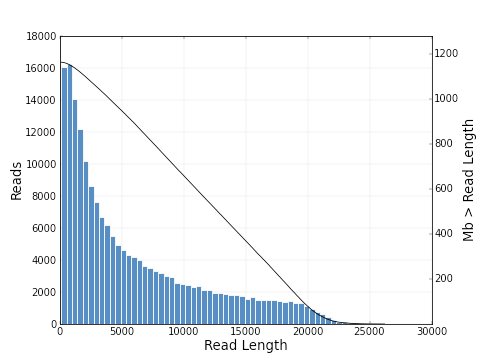 lengths_histogram