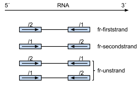 paired-end orientation
